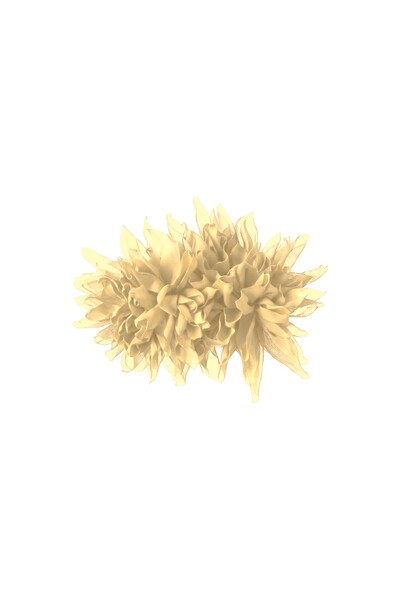 Foto Broche Crisântemo