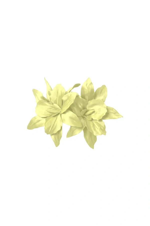 Broche Amarilis