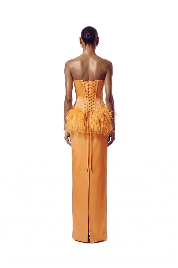 Conjunto Corselet Dijon Plumas