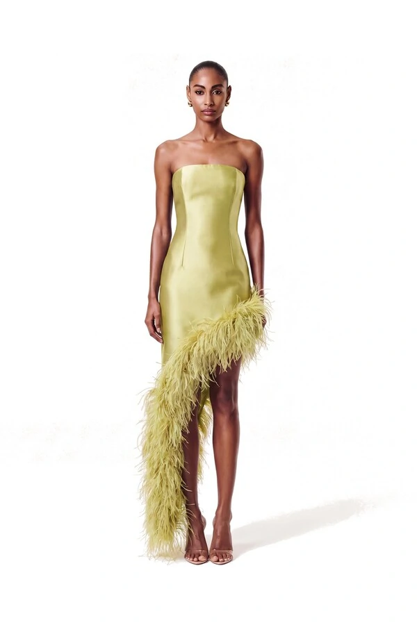 Vestido New Ana Plumas