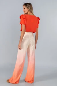 Blusa babado manga