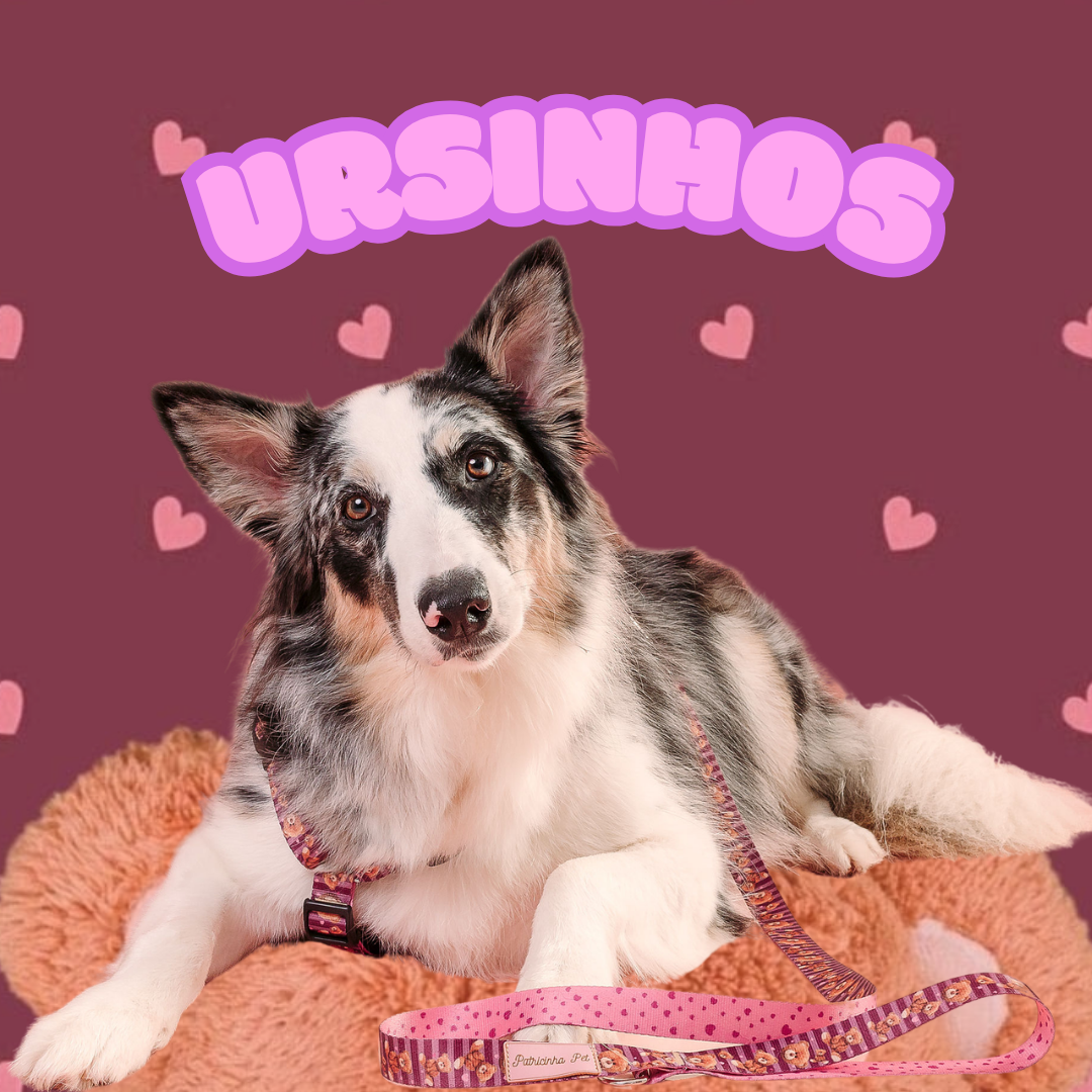 Coleção Ursinhos
