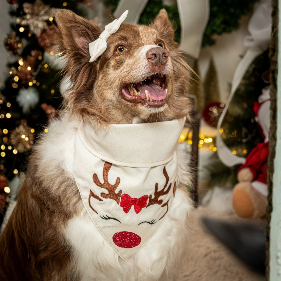 FotoBandana Rena Encantada