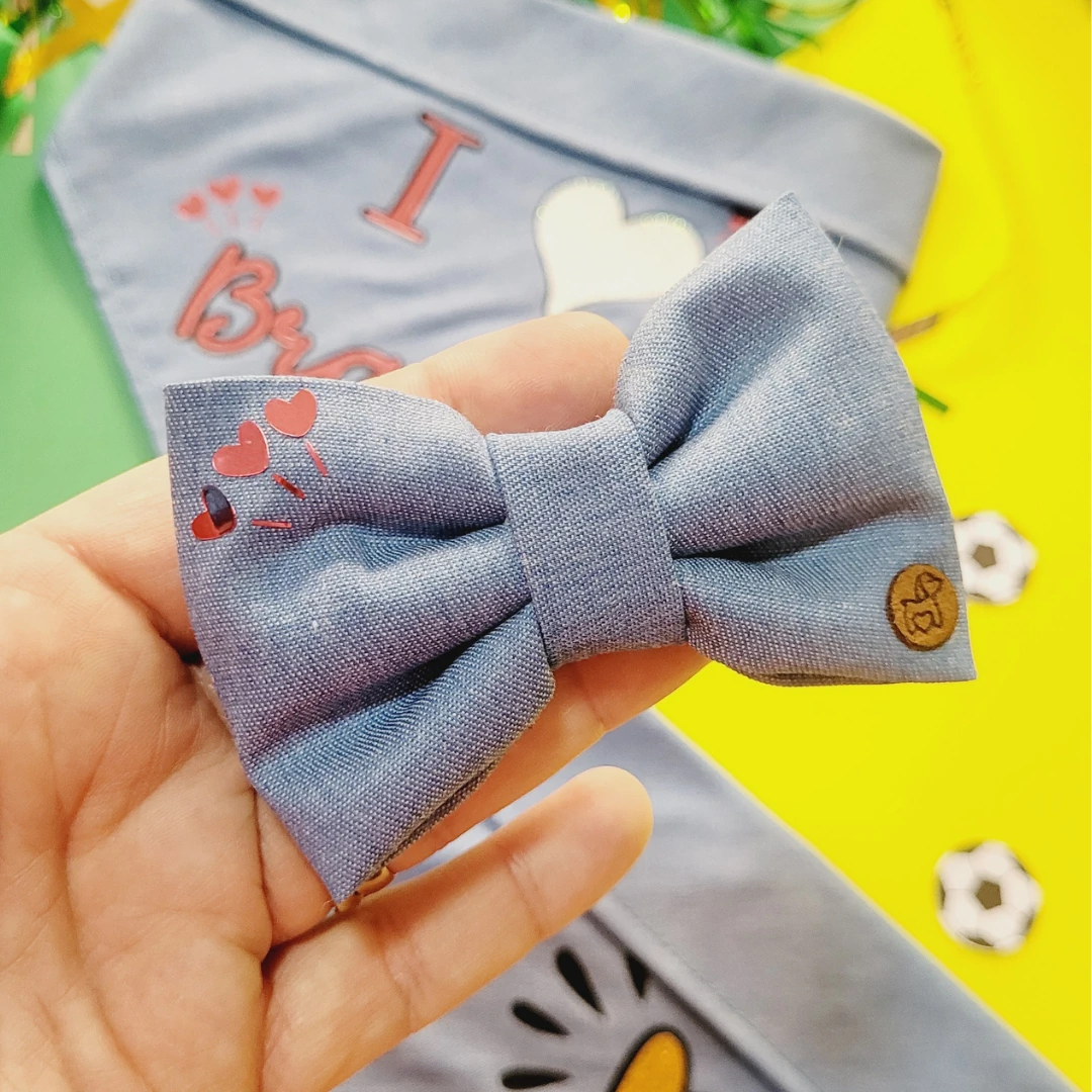 FotoLaço I Love Brasil