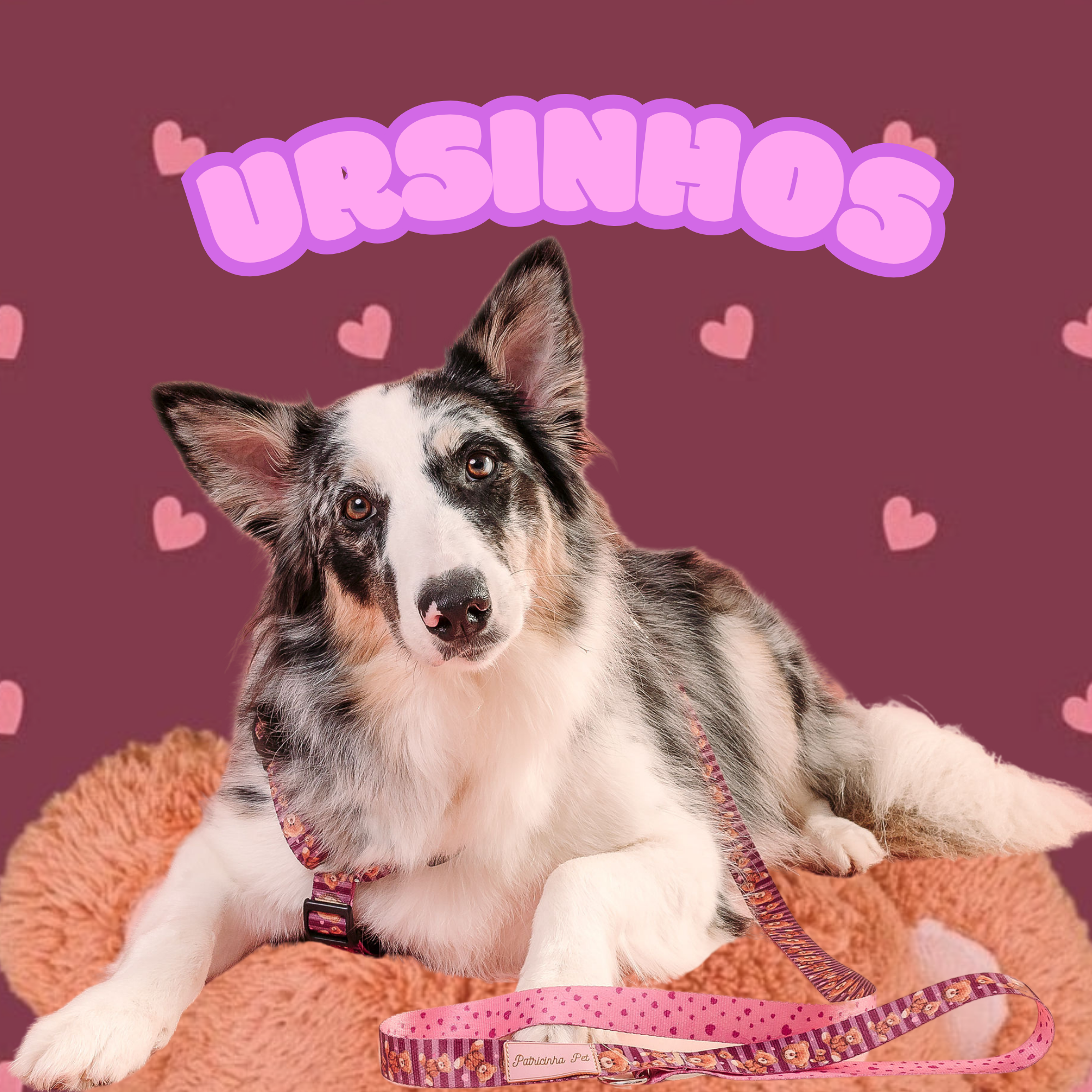 Coleção Ursinhos