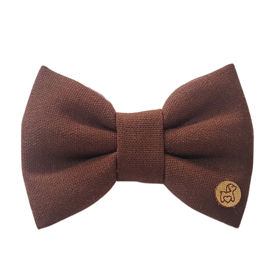 FotoLacinho Colorful - Café