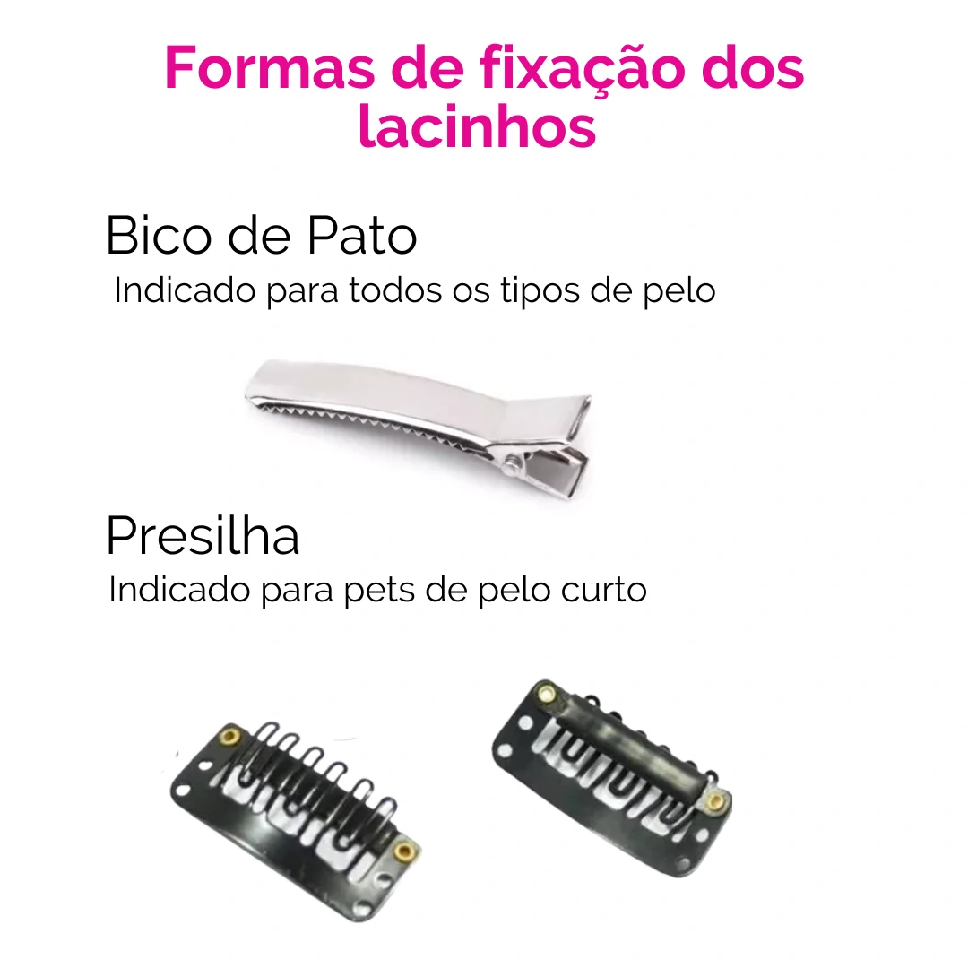 FotoLacinho Colorful - Cereja