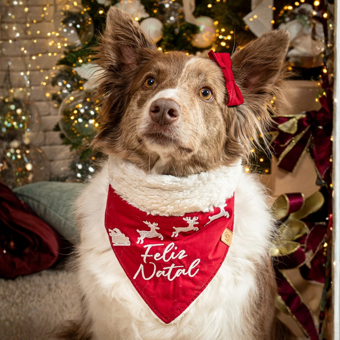 FotoBandana Feliz Natal