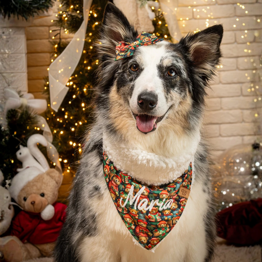 FotoBandana Ursos de Natal