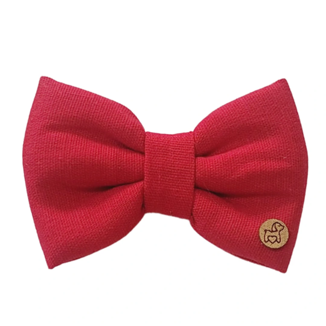 FotoLaço Colorful - Cereja