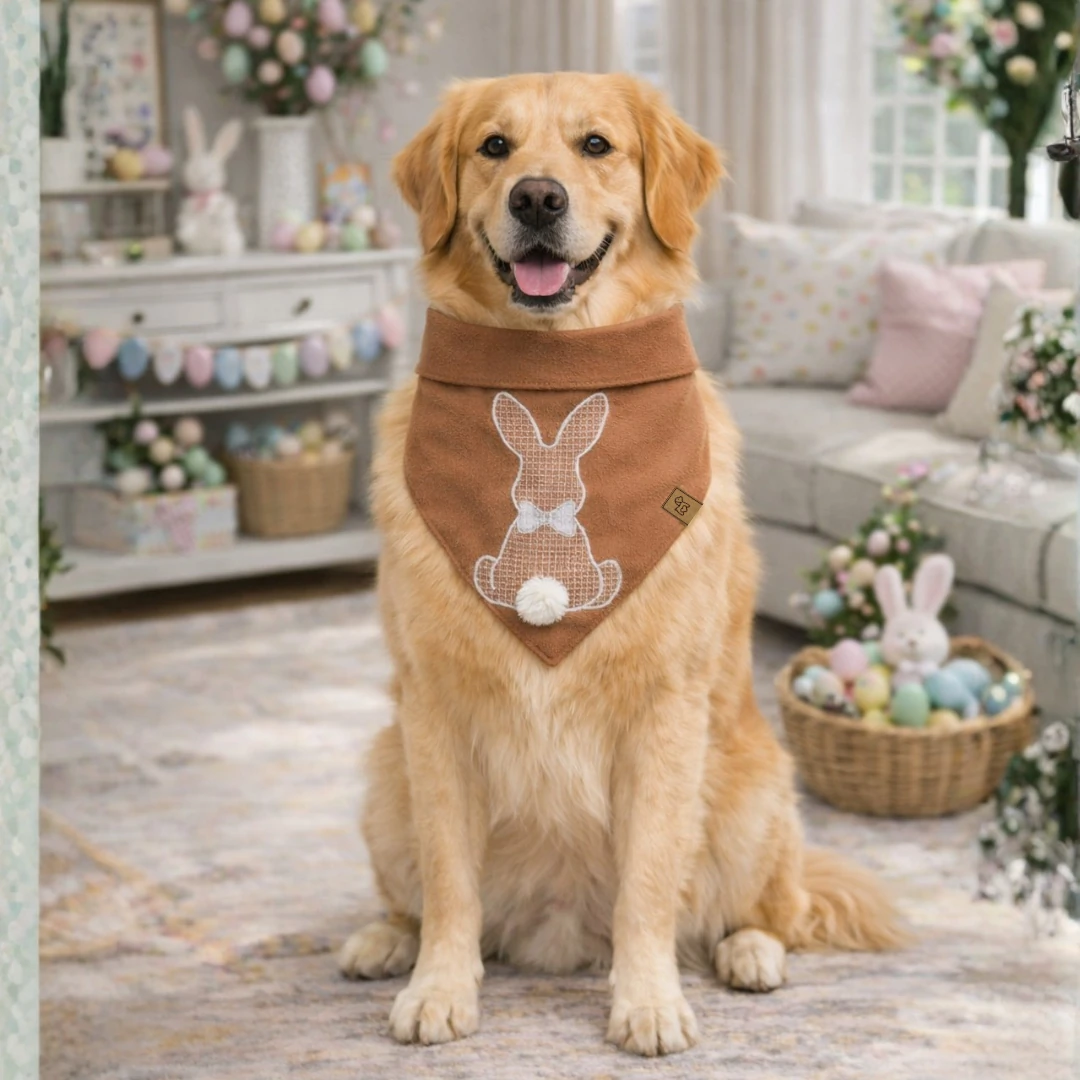 FotoBandana Páscoa - Petit Cacau