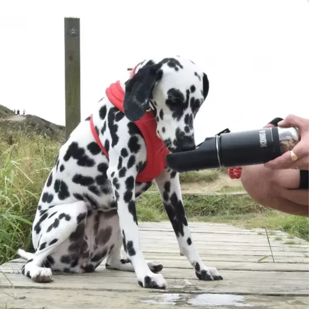 FotoGarrafa Kong Trek & Treat