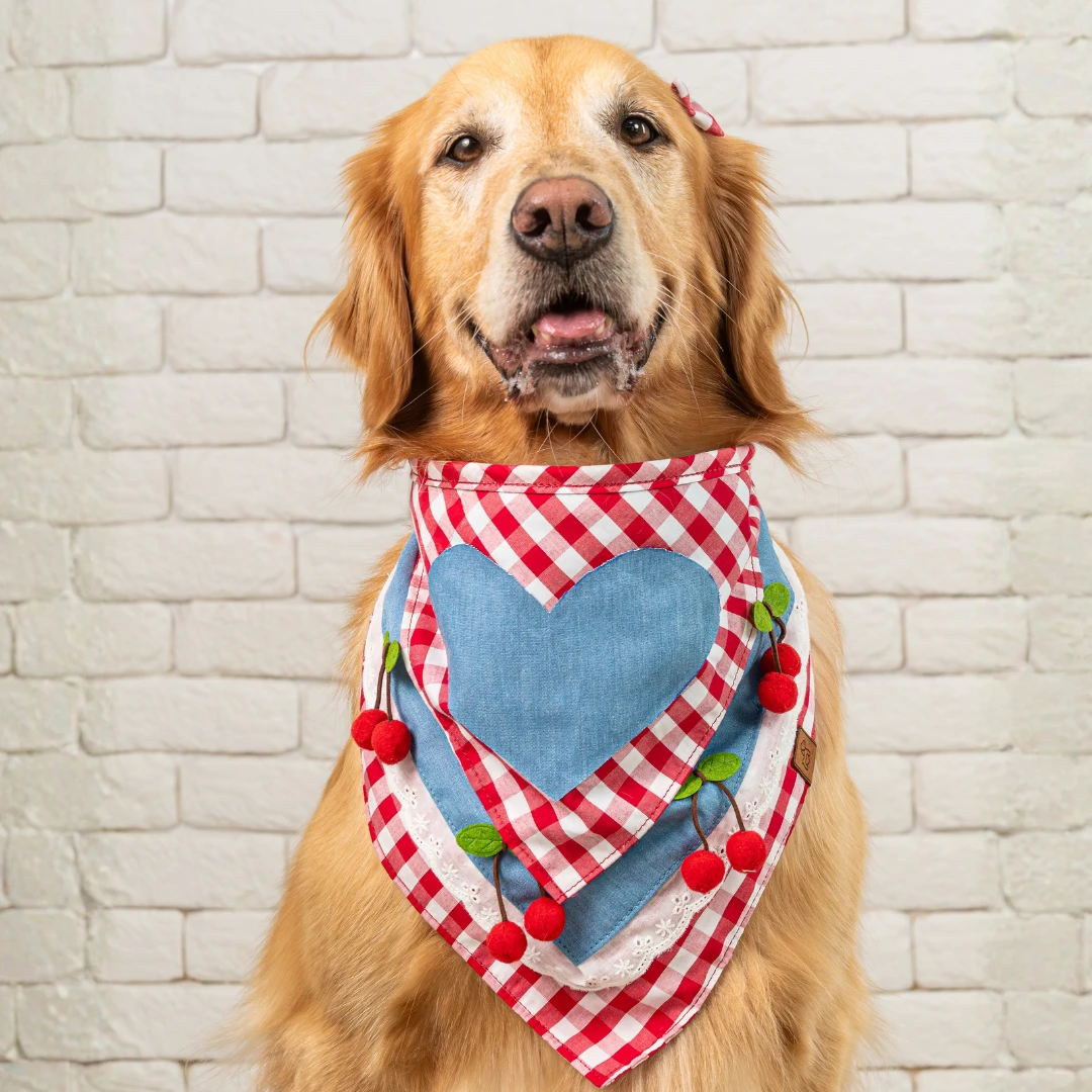 Foto Bandana São João - Maria Bonita