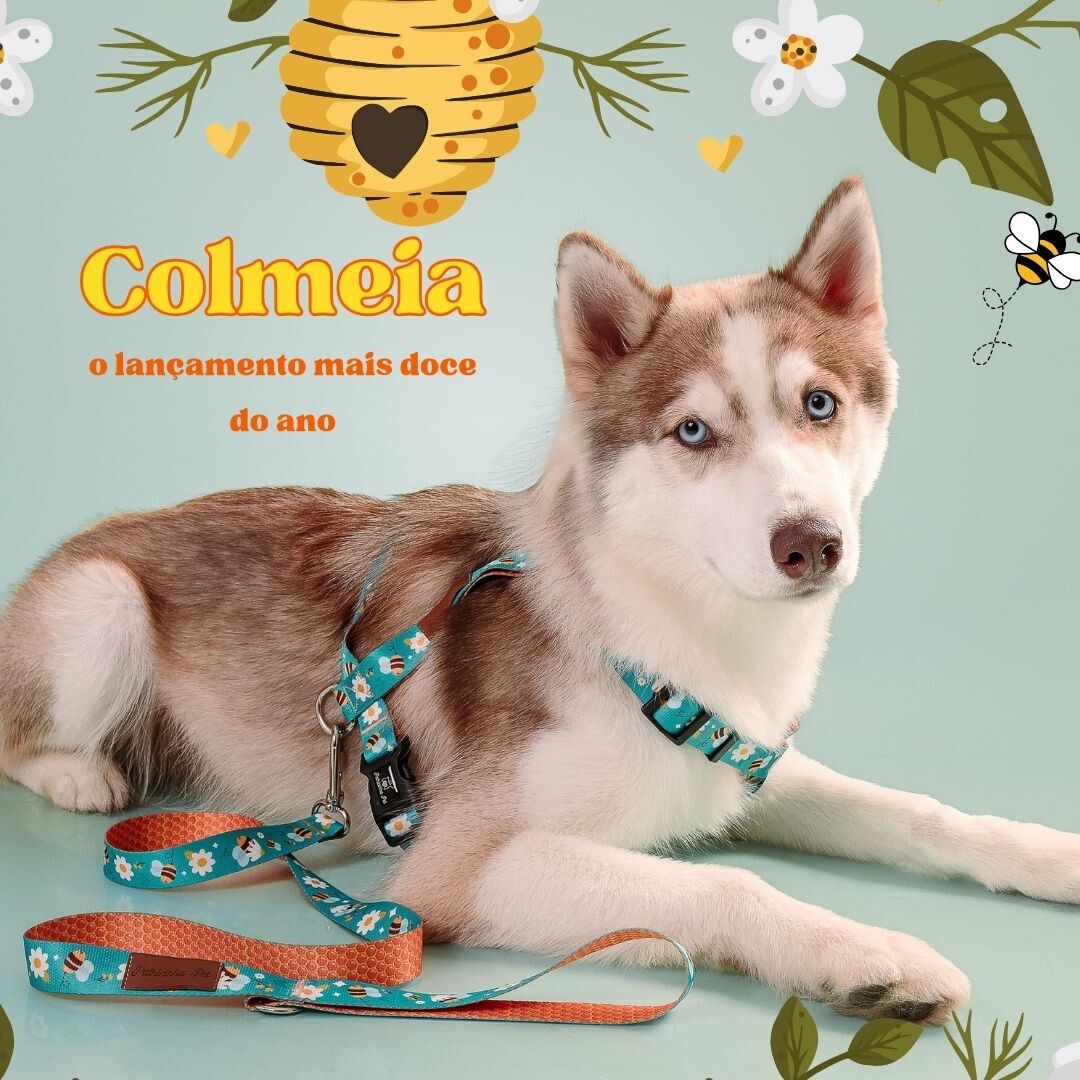 Coleção Colméia