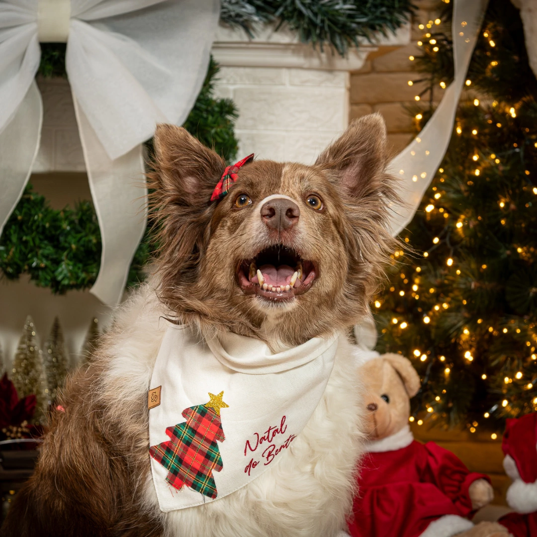 FotoBandana Natal da [Nome do Pet] – Árvore Encantada