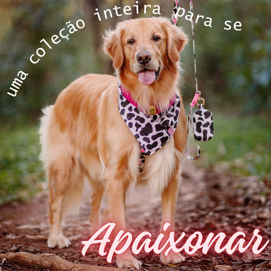 Coleção Vaca Malhada