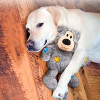 KONG Wild Knots Bear Pequeno/Médio