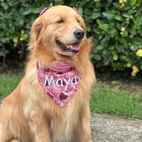Bandana Amoreco