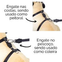 Peitoral H com Guia Colorful - Magenta