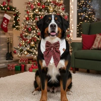 Bandana Laço Presente de Natal