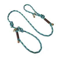 Guia Unificada de Corda Premium - Verde Riviera