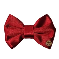 Laço Cetim Inset Prada Rubi