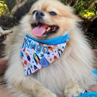 Bandana Foguete