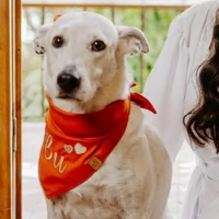Bandana Nome + Coração/Estrela