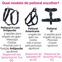 Kit Passeio Animale Rose