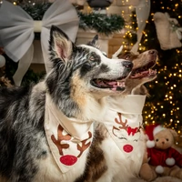 Bandana Reno Encantado