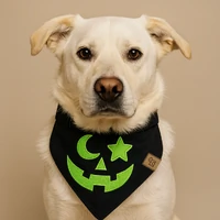 Bandana Halloween - Abóbora Verde
