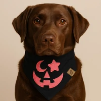 Bandana Halloween - Abóbora Pink