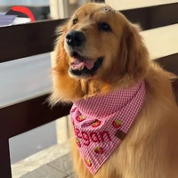 Bandana Morango do Amor