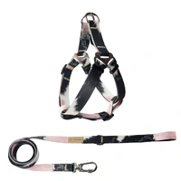 Peitoral Americano com Guia - Animale Rose