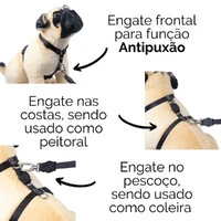 Peitoral H Antipuxão com Guia- Animale Rose