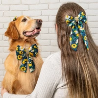 Laçarote Tal Mãe, Tal Pet São João - Flor do Sertão