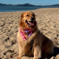 Bandana Pelucita