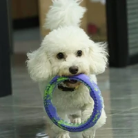 Anel Neon Roxo Qmonster