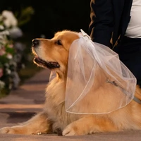 Véu Bridal Pet para Casamento - Véu de Noiva