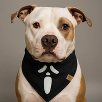 Bandana Halloween - Pânico I