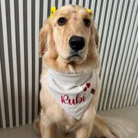 Bandana Nome + Coração/Estrela