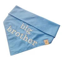 Bandana Big Brother