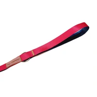 Guia Colorful - Magenta