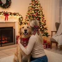 Laçarote Tal Mãe, Tal Pet - Ceia de Natal