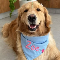 Bandana Colorful Azul Bebe