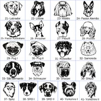 Pulseira Premium - Acqua