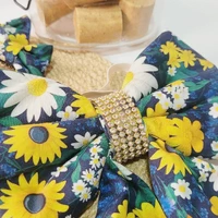 Laçarote Tal Mãe, Tal Pet São João - Flor do Sertão