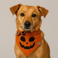 Bandana Halloween - Abóbora