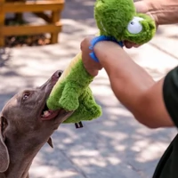 Pelúcia Crocodilo Pescoço Comprido