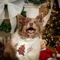 Bandana Natal da [Nome do Pet] – Árvore Encantada